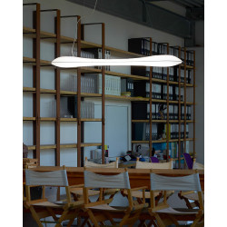 Suspended luminaire ARTPLEX BONE